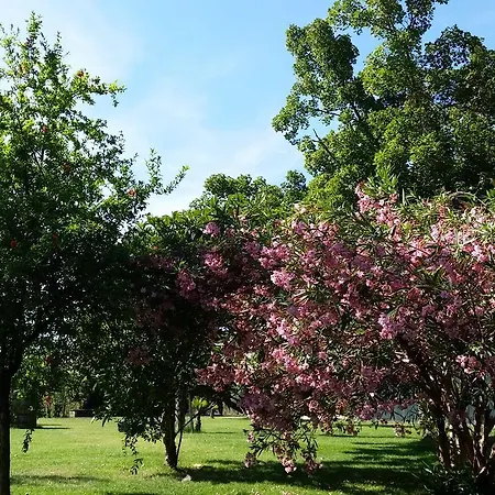 Di Casa Spadoni Penzion